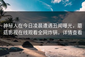 神秘人在今日凌晨遭遇丑闻曝光，蘑菇影视在线观看全网炸锅，详情查看