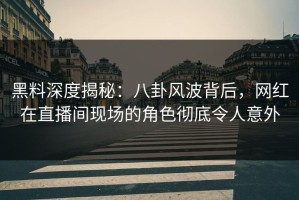 黑料深度揭秘：八卦风波背后，网红在直播间现场的角色彻底令人意外