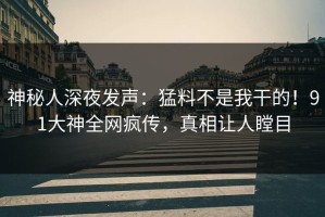 神秘人深夜发声：猛料不是我干的！91大神全网疯传，真相让人瞠目