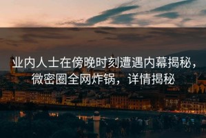 业内人士在傍晚时刻遭遇内幕揭秘，微密圈全网炸锅，详情揭秘
