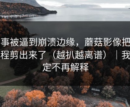 同事被逼到崩溃边缘，蘑菇影像把全过程剪出来了（越扒越离谱）｜我决定不再解释