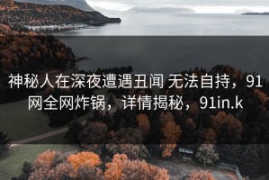 神秘人在深夜遭遇丑闻 无法自持，91网全网炸锅，详情揭秘，91in.k
