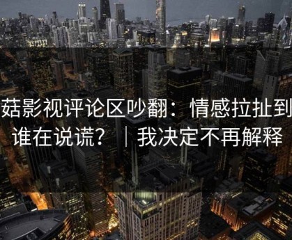 蘑菇影视评论区吵翻：情感拉扯到底谁在说谎？｜我决定不再解释