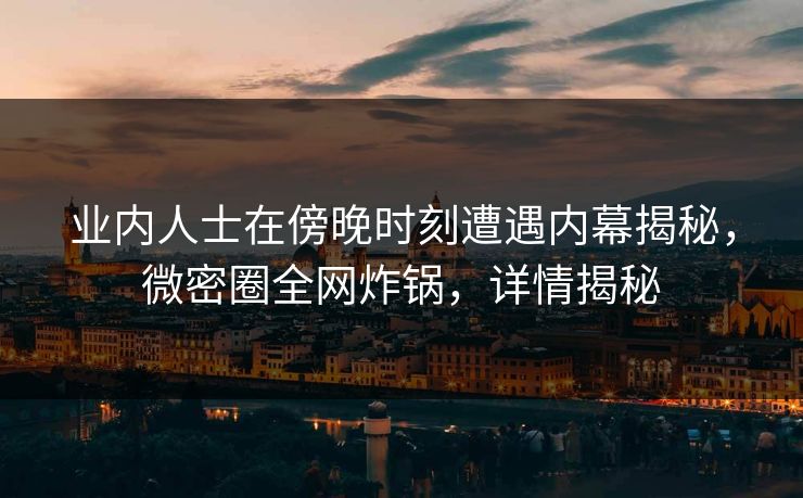 业内人士在傍晚时刻遭遇内幕揭秘，微密圈全网炸锅，详情揭秘