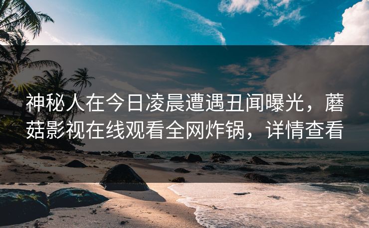 神秘人在今日凌晨遭遇丑闻曝光，蘑菇影视在线观看全网炸锅，详情查看